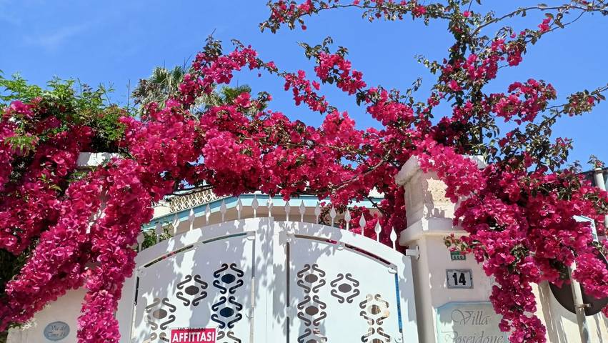 Villa pour 4 personnes, avec Jardin à Lecce