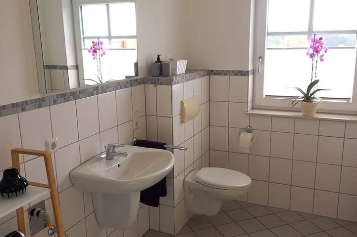 Entire apartment, Ferienwohnung Hansen, in Ruhiger Lage mit Wunderschönem Ausblick in Welschbillig, Landkreis Trier-Saarburg