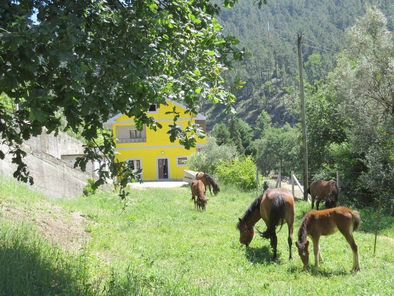 Three-Bedroom House in Vilar da Veiga, Parque Nacional da Peneda-Gerês