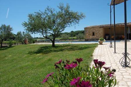 Ferienhaus für 8 Personen, mit Terrasse und Garten sowie Pool, mit Haustier in Languedoc-Roussillon - 3