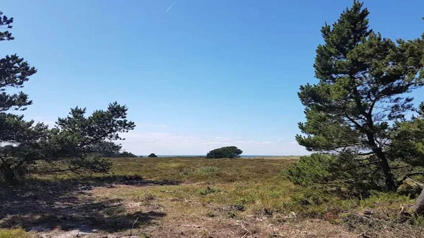 Ferienhaus für 7 Personen, mit Terrasse auf Læsø - 4