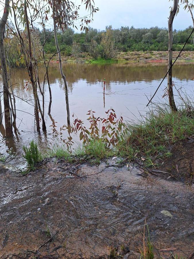 Location de vacances pour 2 personnes, avec vue et jardin dans Ourique - 3