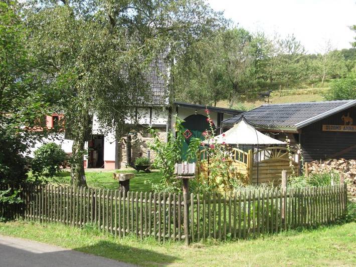 Ferienhaus für 6 Personen, mit Ausblick und Garten in Blankenheim - 4