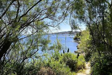 Gîte pour 7 personnes, animaux acceptés dans Pointe Des Chevaliers Hyeres