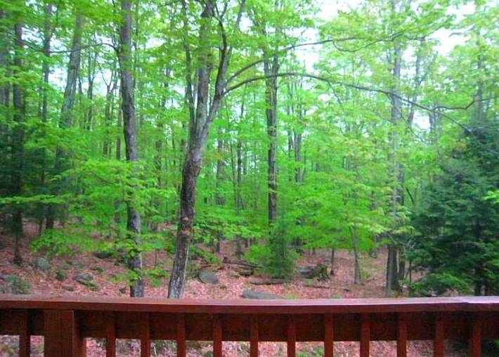 Vacation house for 10 people, with hot tub and yard in Catskill Mountains