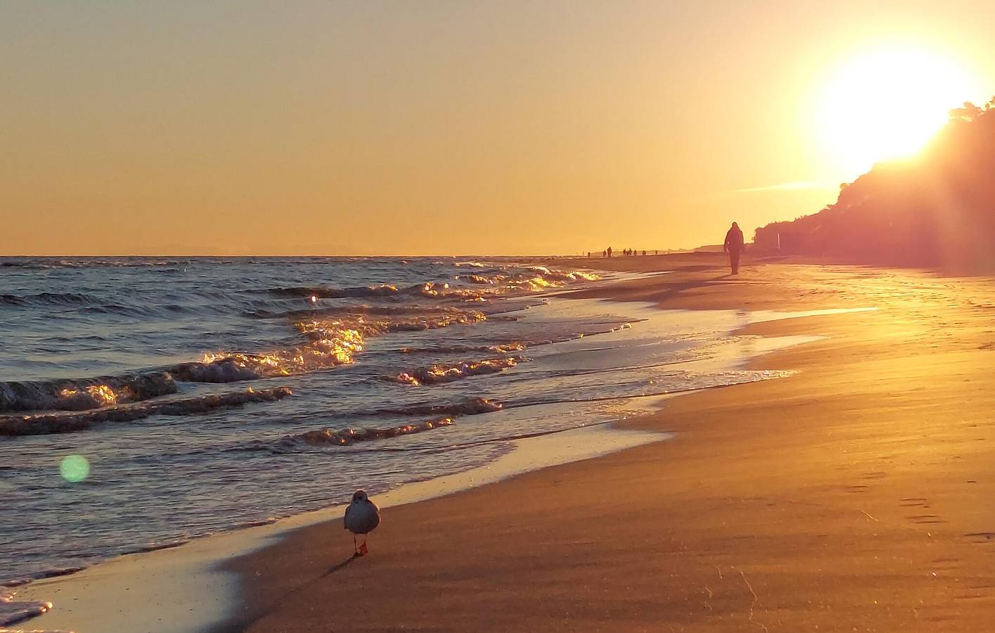 Ferienhaus für 8 Personen mit Terrasse in Neuenhagen, Amt, Powiat Sławieński