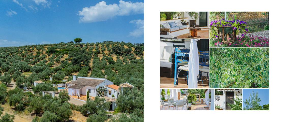 Cubo's Casa Rural Mar Verde in Adamuz, Córdoba Provinz