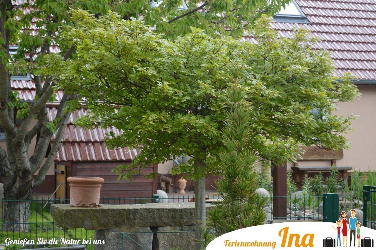 Ganze Wohnung, One-Bedroom Apartment in Spremberg, Lausitzer Seenland