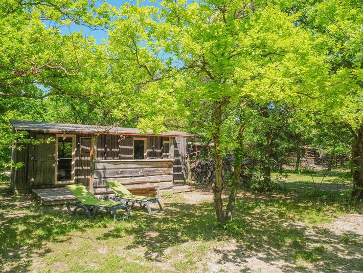 Hôtel pour 5 personnes, avec jardin et piscine, animaux acceptés à Richerenches - 3