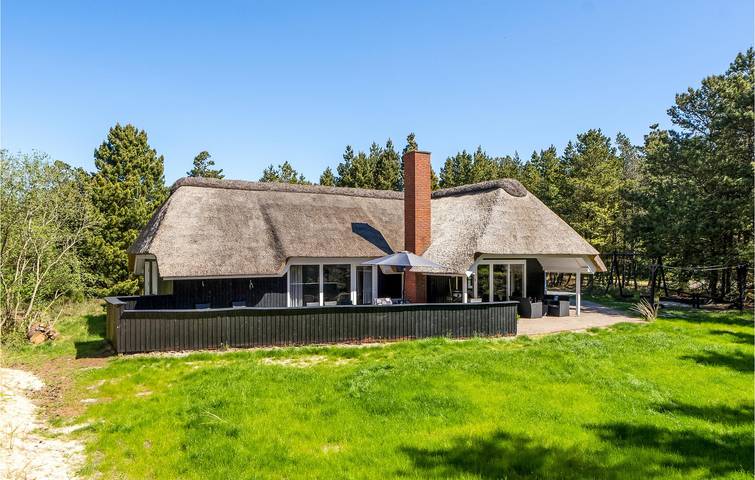 Ferienhaus für 8 Personen, mit Terrasse und Whirlpool sowie Sauna in Blavand - 3