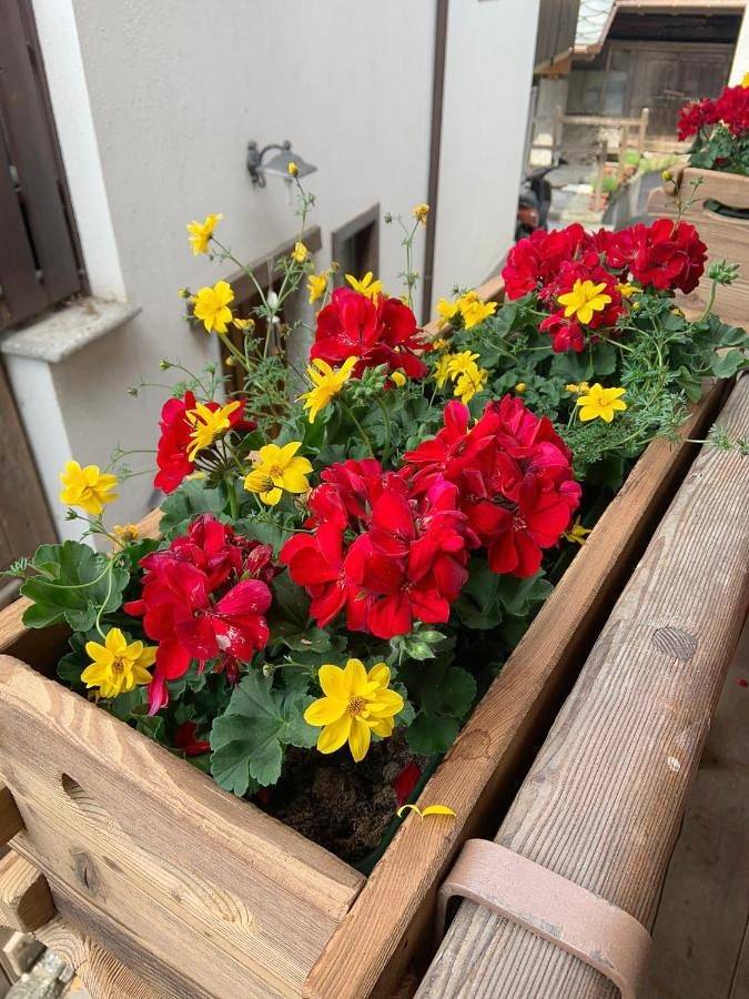 Gîte pour 2 personnes, avec terrasse dans Charvensod - 3