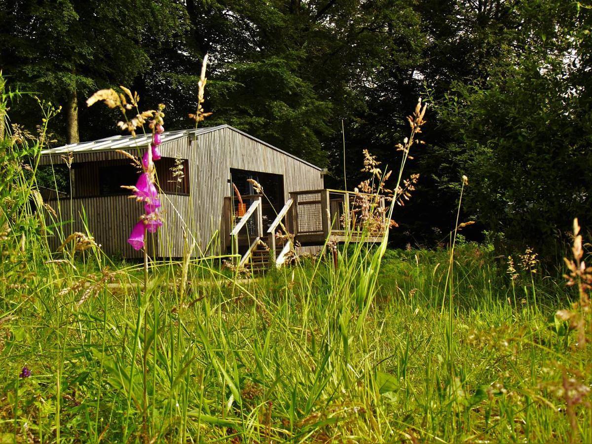 L'étape en forêt in Saint-Sever-Calvados, Noues de Sienne
