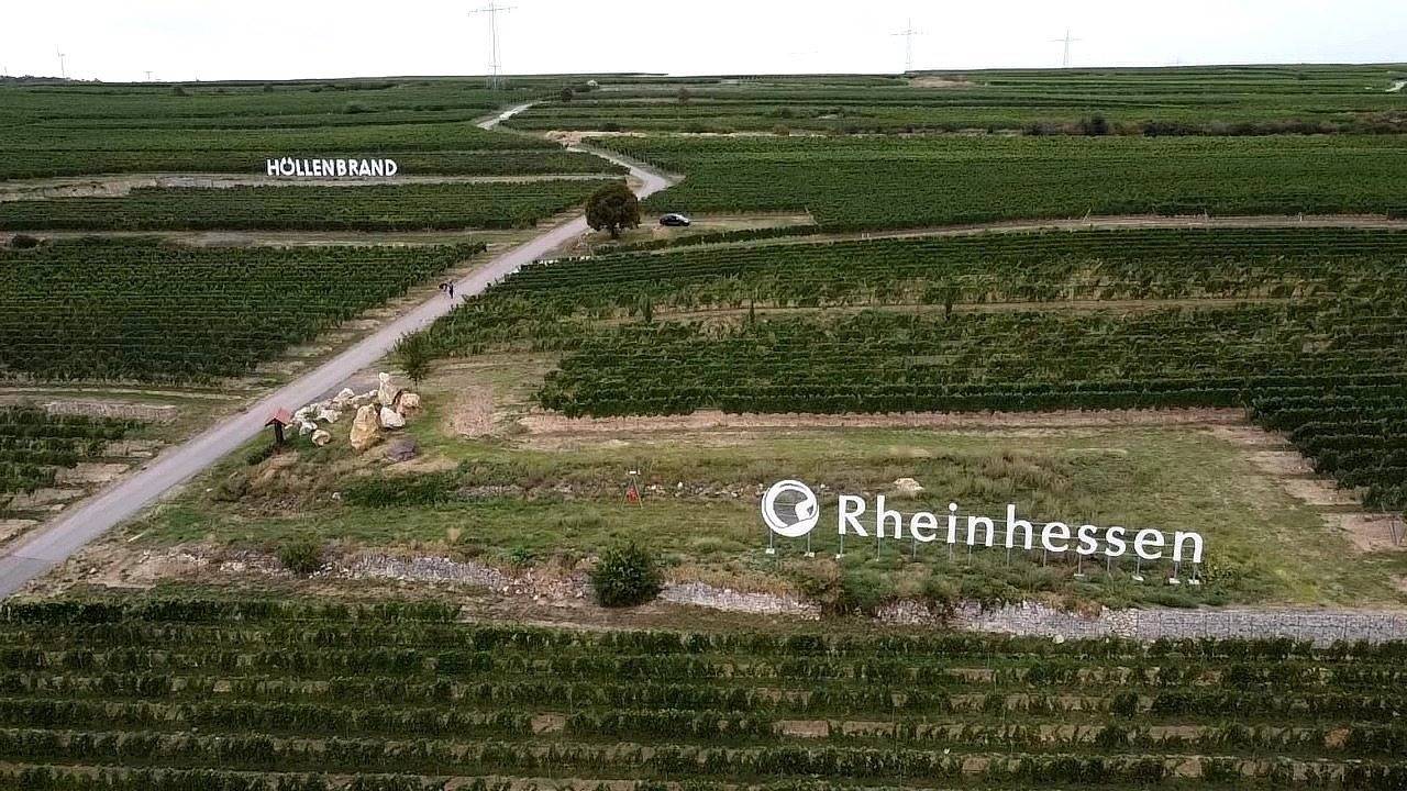 Entire holiday apartment, Fewo auf dem Weingut Huppert in Gundersheim, Kurpfalz