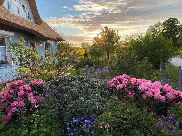 Ferienwohnung für 5 Personen, mit Garten in Putbus