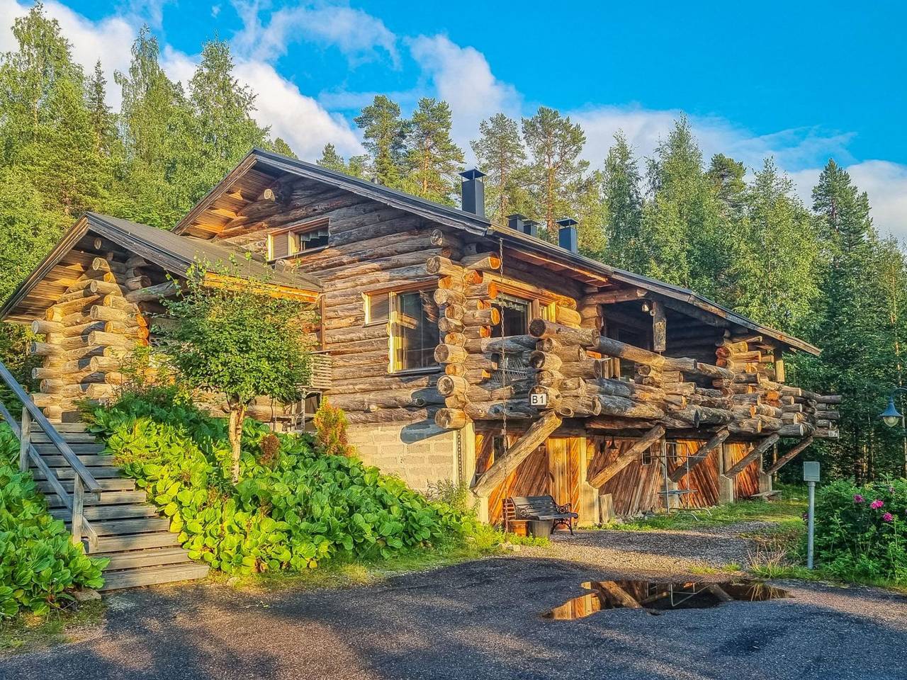 Sallanhelmi b1 in Sallatunturi, Lappland