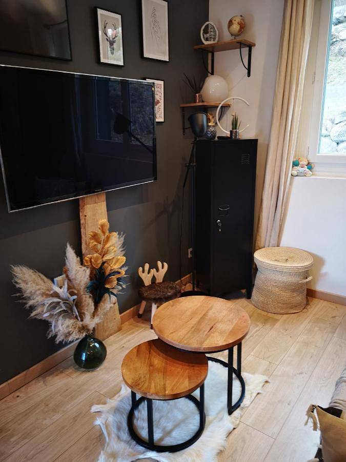 Gîte pour 4 personnes, avec vue et terrasse à Saint-Savin (Hautes-Pyrénées) - 3