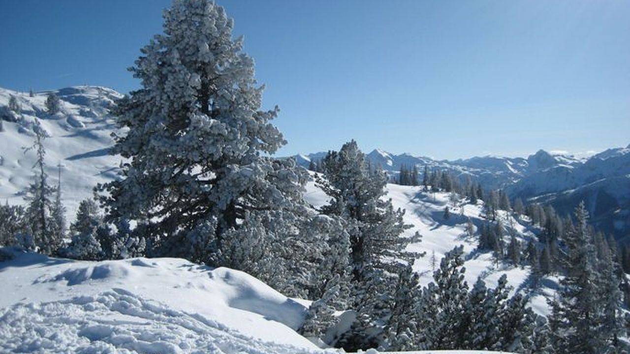 Ferienhaus für 1 Personen (120 m²) in Forstau in Forstau, Ski Amadé