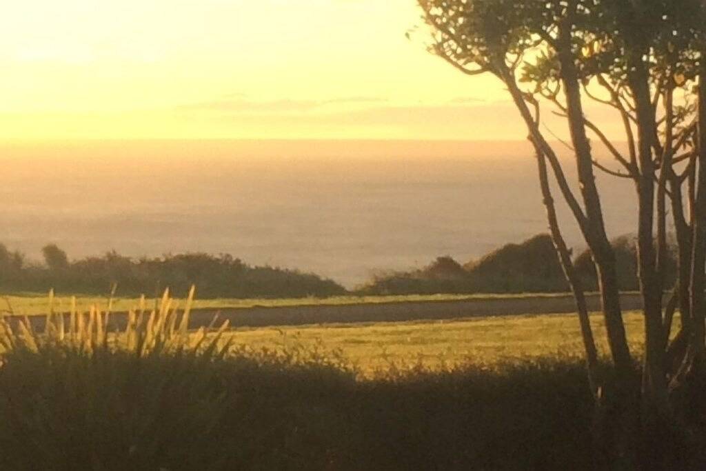 Schöner Meerblick von diesem schönen Ferienhaus in Waitaki District
