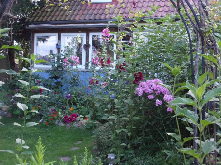 Ferienhaus für 2 Personen, mit Terrasse und Garten an der Ostsee - 3