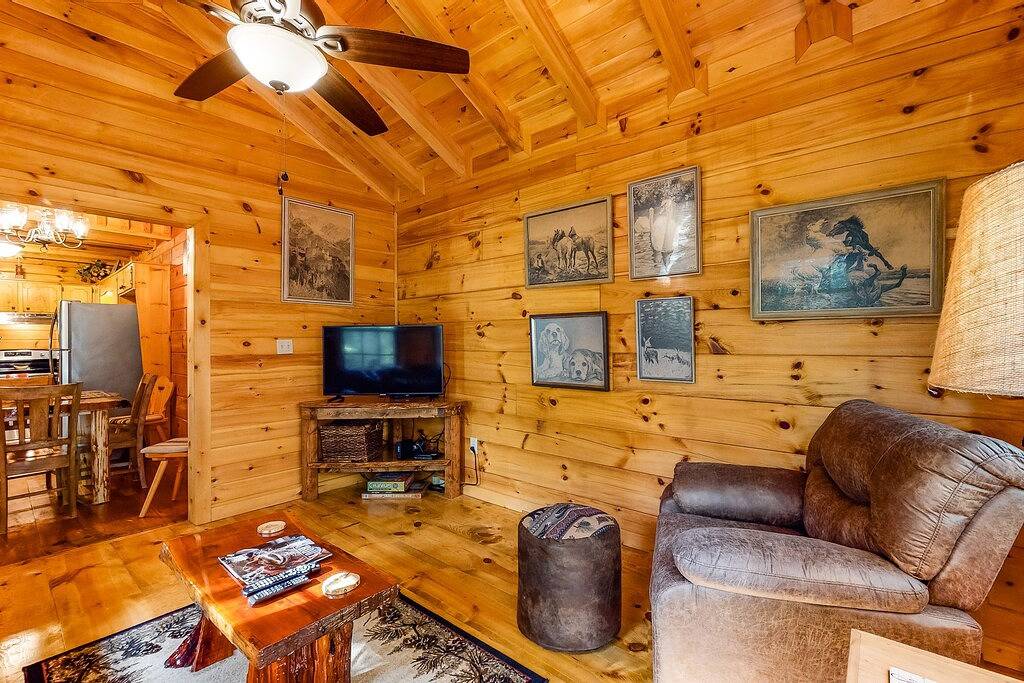 Classic Cabin with Modern Touches, Wraparound Deck, Fireplace, and Free Wifi in Cherry Log, Chattahoochee National Forest