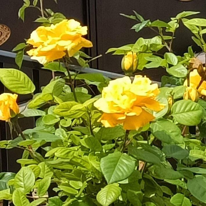 Location de vacances pour 13 personnes, avec jardin et vue à Guadix - 3