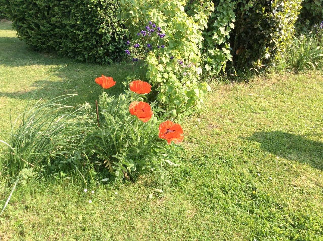Holiday Home in Mailly-Maillet, Région d'Amiens