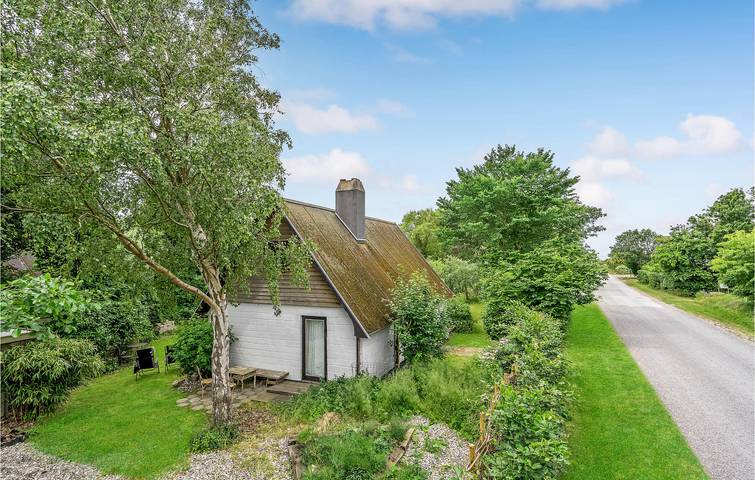 Ferienhaus für 2 Personen, mit Garten und Terrasse, mit Haustier auf Seeland - 4