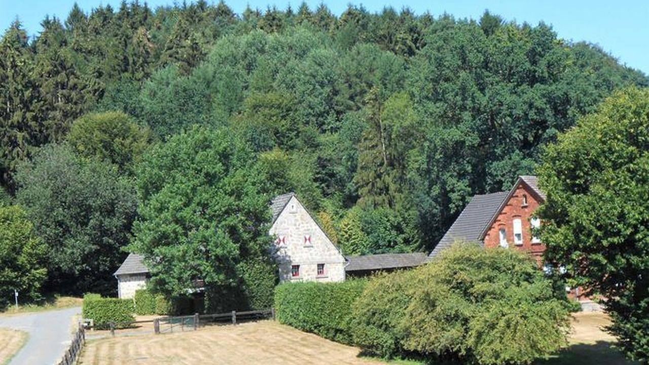 Geheel vakantieappartement, Vakantieappartement voor 3 personen met tuin in Tecklenburg, Münsterland