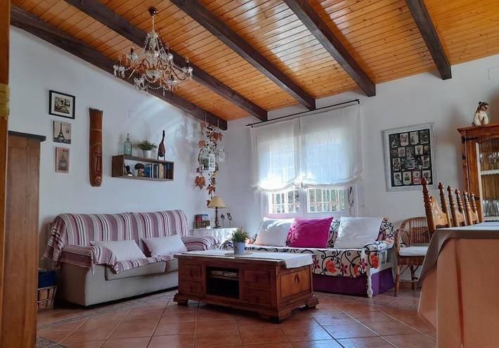 Casa de vacaciones para 10 personas, con vistas y piscina para niños además de jardín y piscina, Se admiten mascotas en Mancha Alta de Toledo