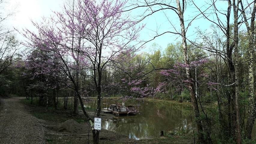Lodge for 20 people, with hot tub and yard in Ohio