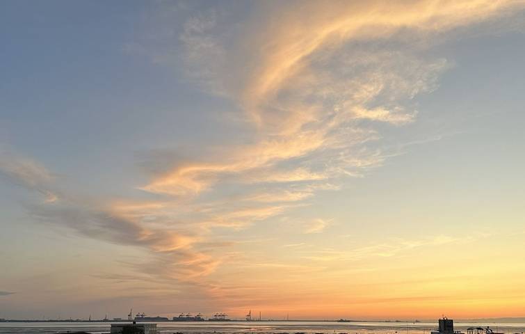 Ferienwohnung für 5 Personen, mit Terrasse und Sauna, mit Haustier in Butjadingen - 4