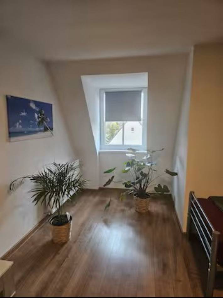 Gîte pour 3 personnes, avec jardin et vue à Leuna - 2