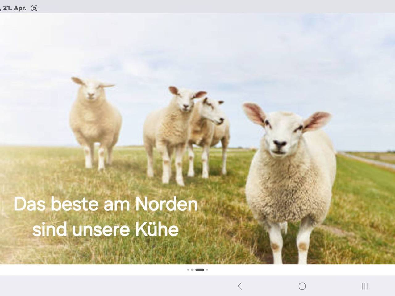 Ganze Ferienwohnung, Ferienwohnung Nordlicht - Ferienwohnung in Dollern, Altes Land Stade