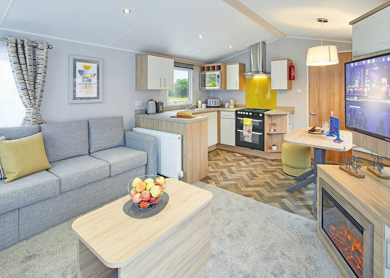 Fern Pet in Stirling region