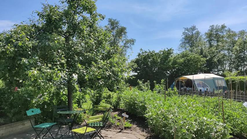Ferienhaus für 5 Personen, mit Garten, mit Haustier - 1