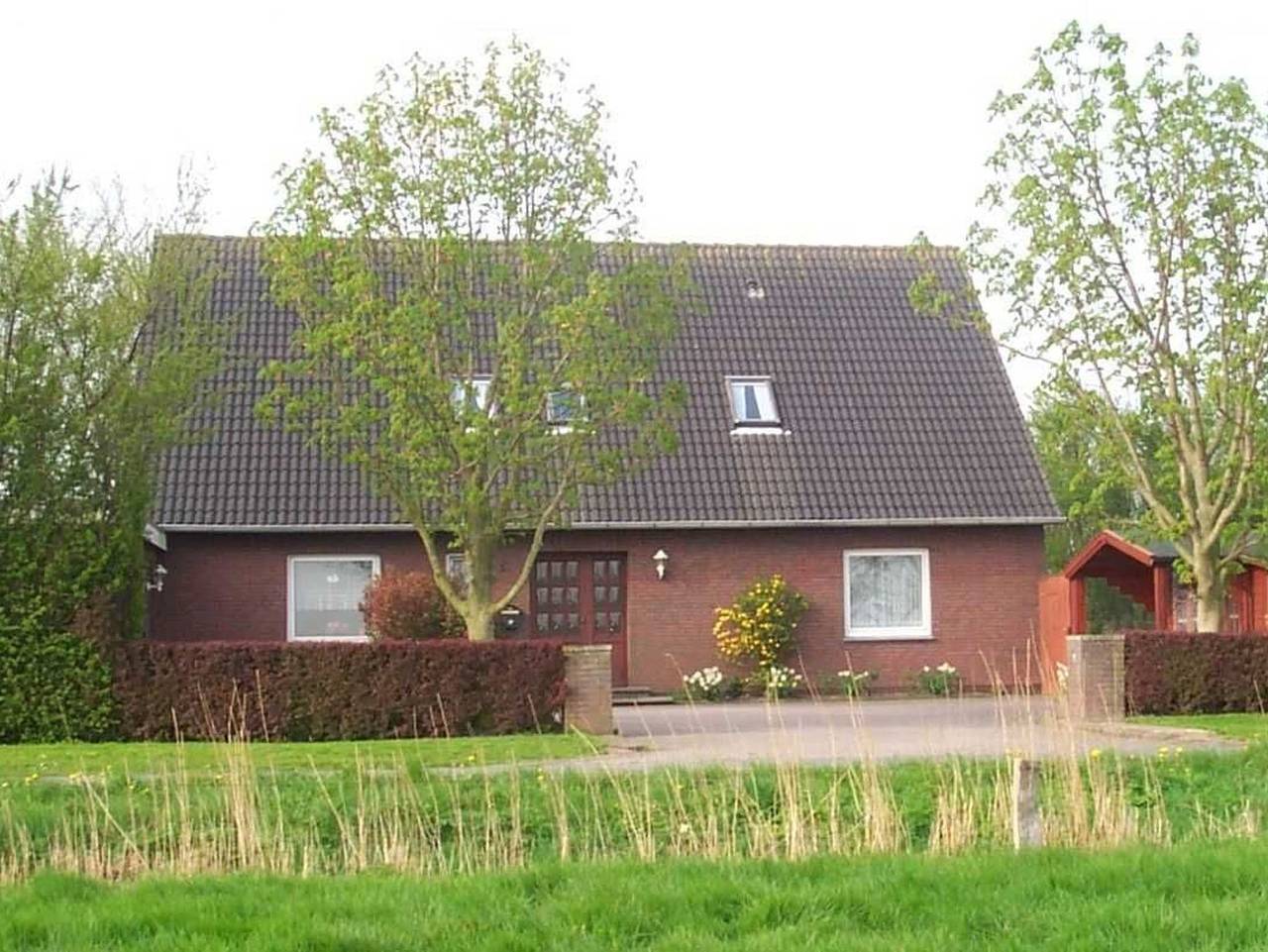 Ferienhof Mittag - Rapsblüte in Werdum, Landkreis Wittmund