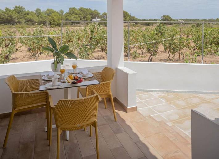 Gîte pour 2 personnes, avec jardin et terrasse dans Playa Migjorn Formentera - 3