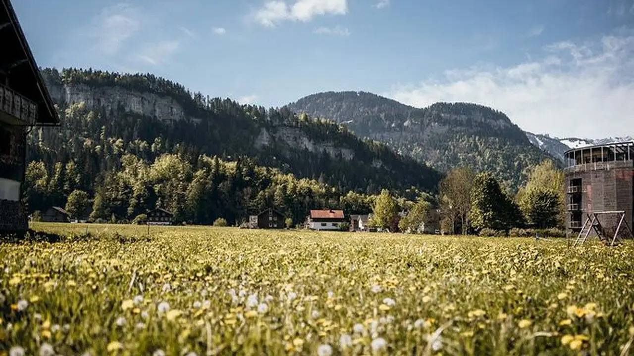Ganze Ferienwohnung, Ferienwohnung für 6 Personen (67 m²) in Bezau in Bezau, Bregenzerwald