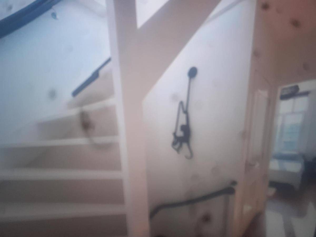 Geheel appartement, Loft Amsterdam in Amsterdam West, Nederlandse kust