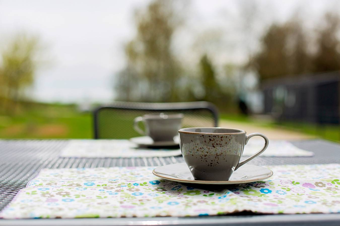 Ganze Ferienwohnung, Tiny Home 'Entspannung und Erholung' mit Bergblick, Wlan und Klimaanlage in Untergriesbach, Passauer Land