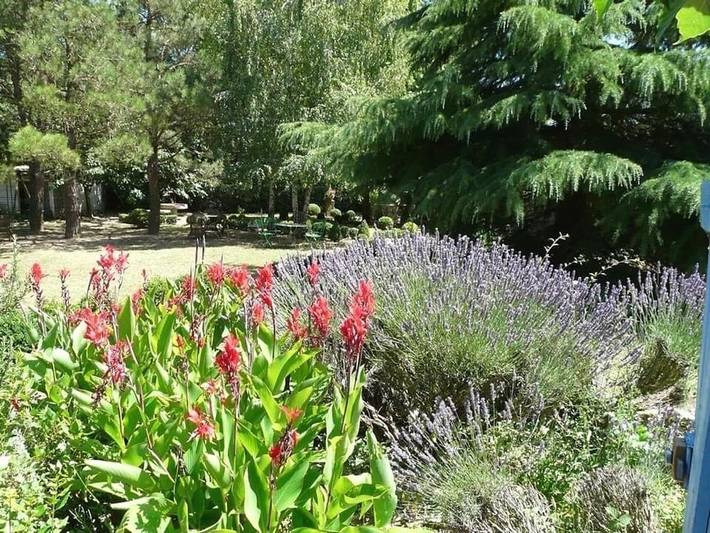 Location de vacances pour 8 personnes, avec piscine ainsi que terrasse et vue à Montréal (Lanquedoc-Roussillon) - 4