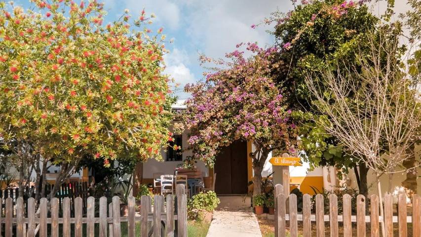 Hotel para 3 personas, con piscina y jardín, Se admiten mascotas en Ibiza - 2