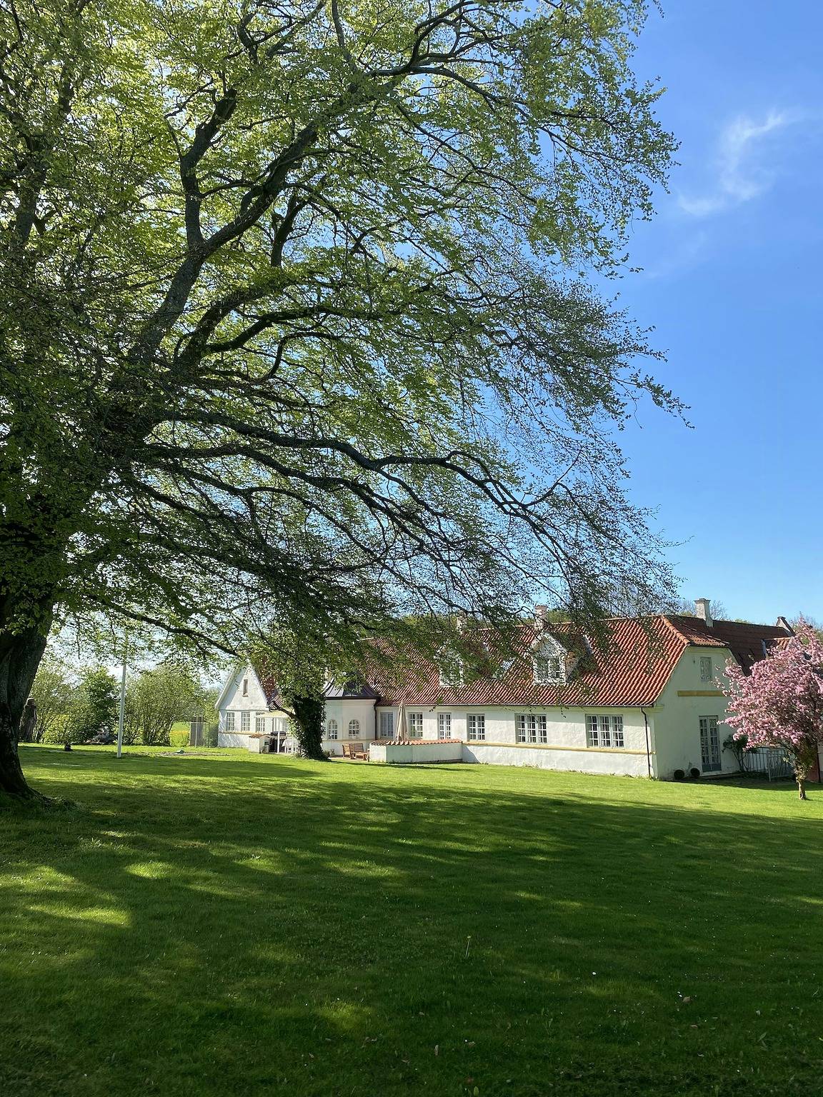 Historischer Bauernhof mit Blick auf die Kirche bei Randers in Randers
