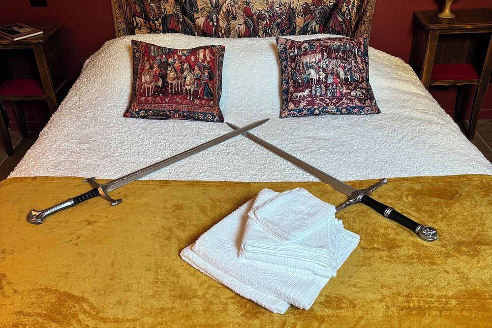 Logement à thème médiéval  ; demeure restaurée avec baignoire balnéothérapie in Sens, Yonne