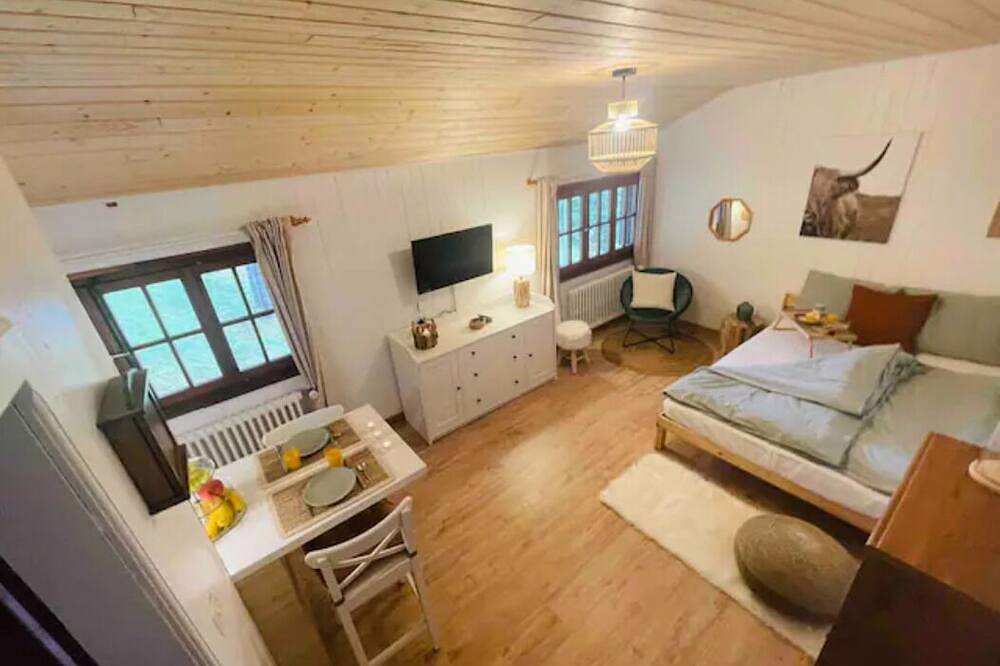 Appartement entier, Studio cosy avec sauna, à deux pas des pistes in Leysin, Alpes Vaudoises
