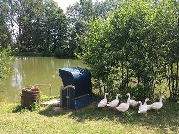 Vakantiehuis voor 6 Personen in Leutershausen, Romantische Straße, Afbeelding 4