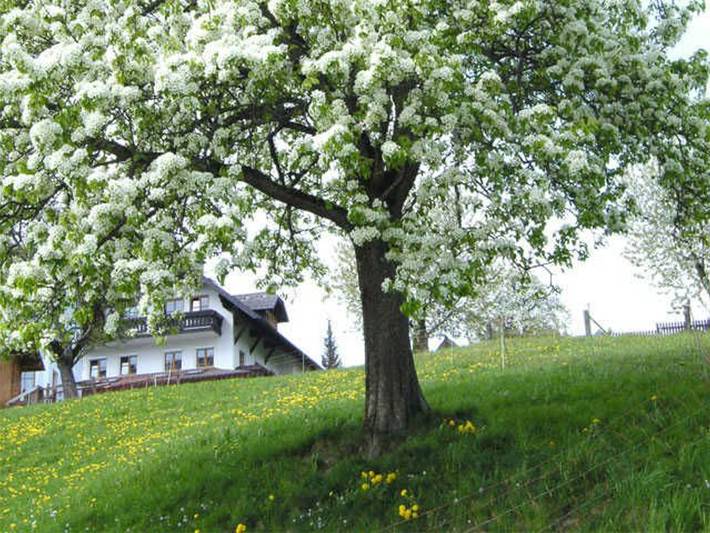 Ferienwohnung für 12 Personen, mit Balkon und Garten sowie Pool und Seeblick am Traunsee - 3
