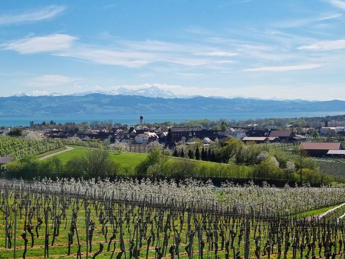 Ganze Ferienwohnung, Mf Feriendomizil am Bodensee - Ferienwohnung "Stella", 38 qm, 2 Schlafzimmer, max. 4 Personen in Kressbronn am Bodensee, Region Bodensee-Oberschwaben