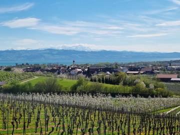 Ferienwohnung für 4 Personen in Kressbronn am Bodensee, Region Bodensee-Oberschwaben, Bild 2