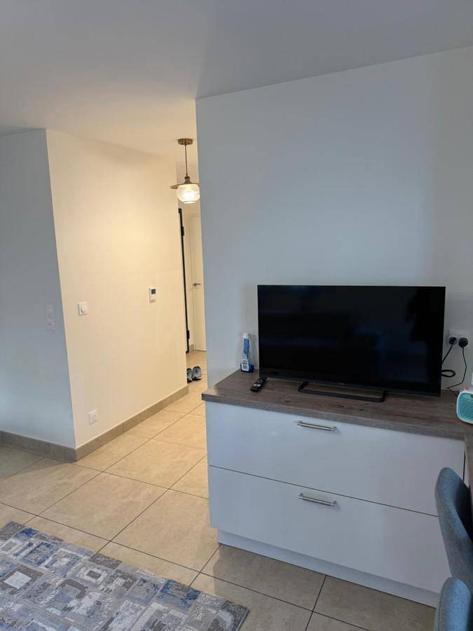 Gîte pour 6 personnes, avec terrasse à Ferney-Voltaire - 3